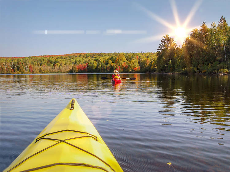 Algonquin Provincial Park