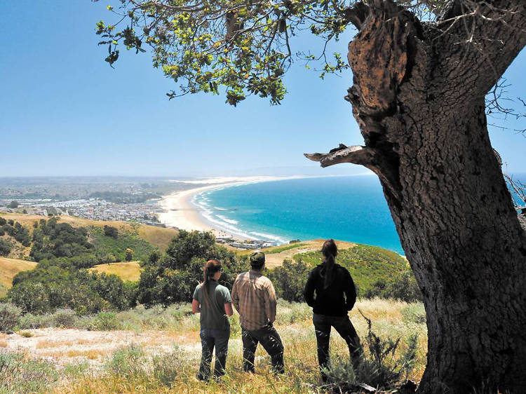 Pismo Preserve