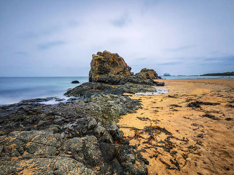 Yellowcraig Nature Reserve