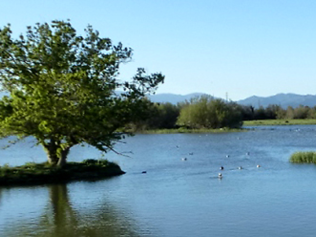 Reserva natural Les Llaunes Reserva natural Les Llaunes