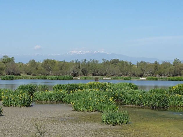 L'estany de Vilaüt L'estany de Vilaüt
