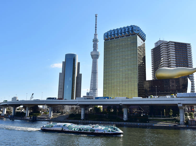 Take a cruise along the Sumida River