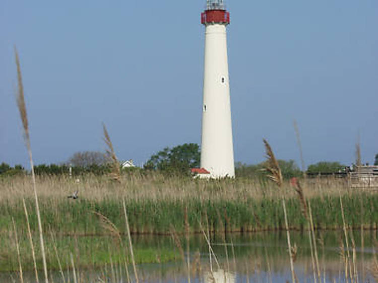 Cape May, NJ