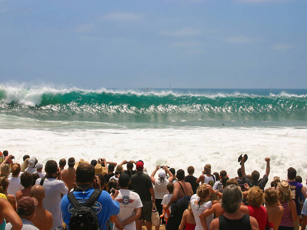 The Wedge The Wedge