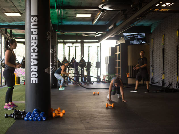 Everest Wellness Center Everest Wellness Center