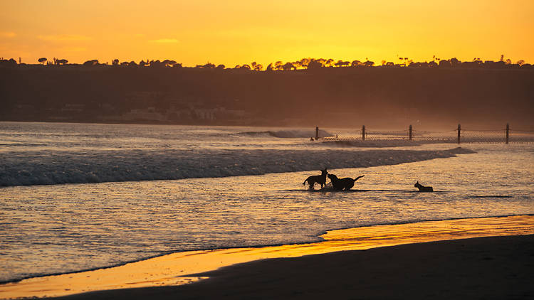 Coronado Beach