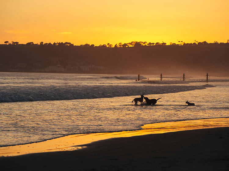 Coronado Beach