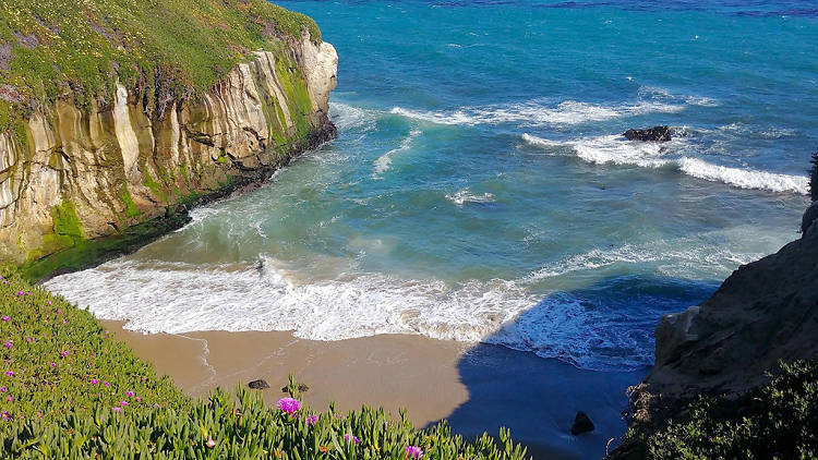 Natural Bridges State Beach