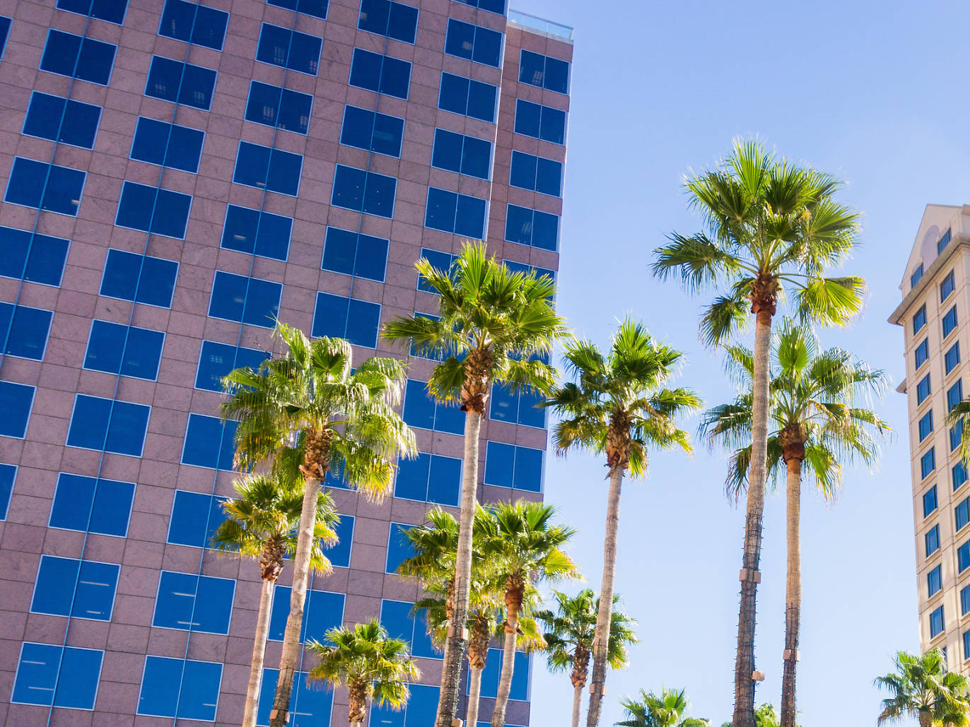 San Jose, California 2021 Ultimate Guide To Where To Go, Eat & Sleep