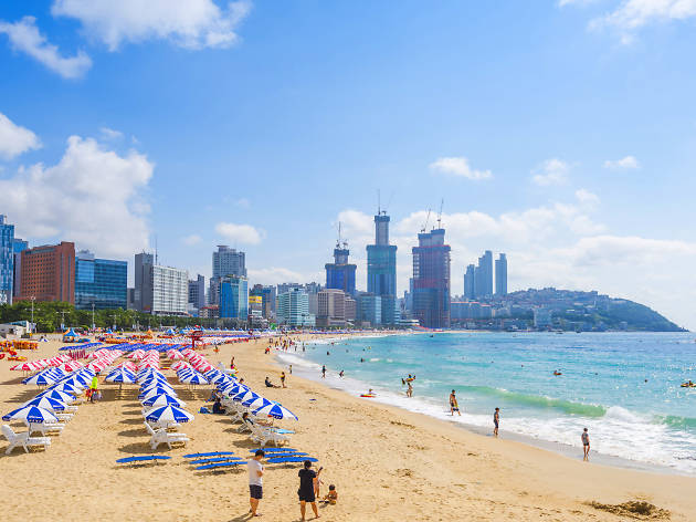 Haeundae Beach The Most Gorgeous Beach Of South Korea