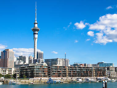 11 Best Things to Do in Auckland