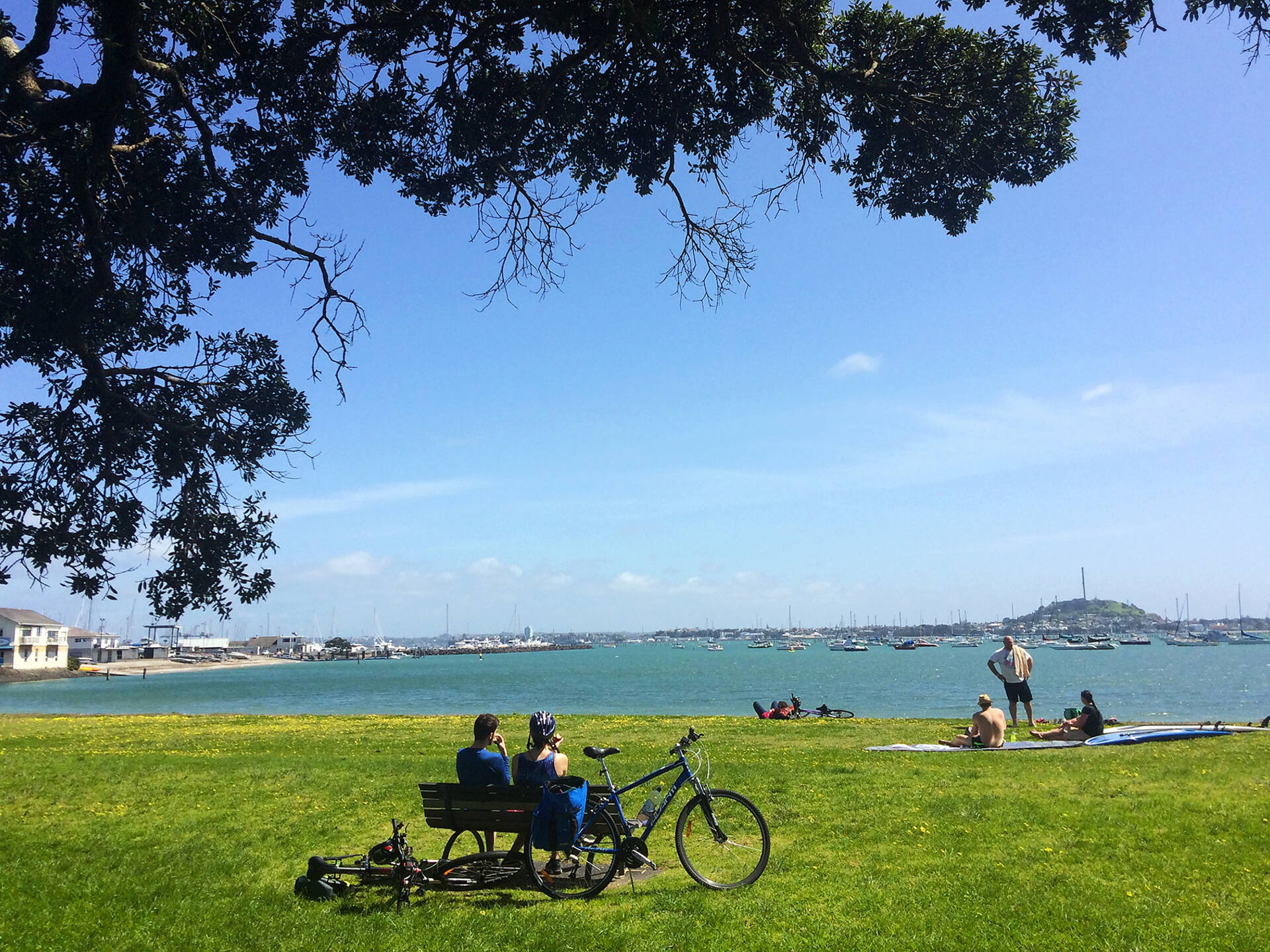 THE 11 BEST THINGS TO DO IN AUCKLAND visual data 2