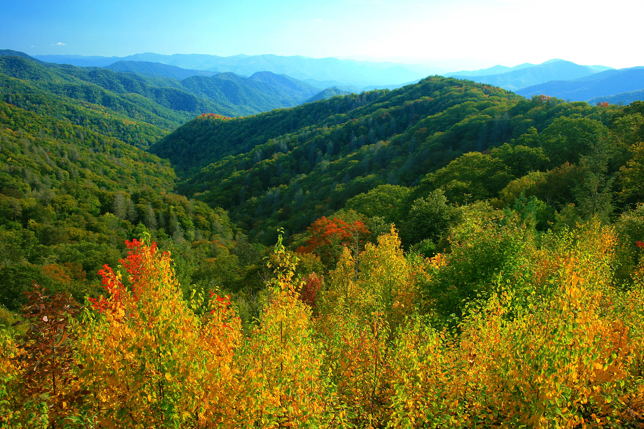 Gatlinburg, Tennessee 2024 | Ultimate Guide To Where To Go, Eat & Sleep ...