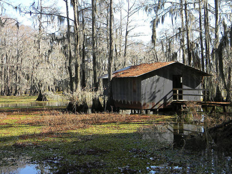 Cajun Country 