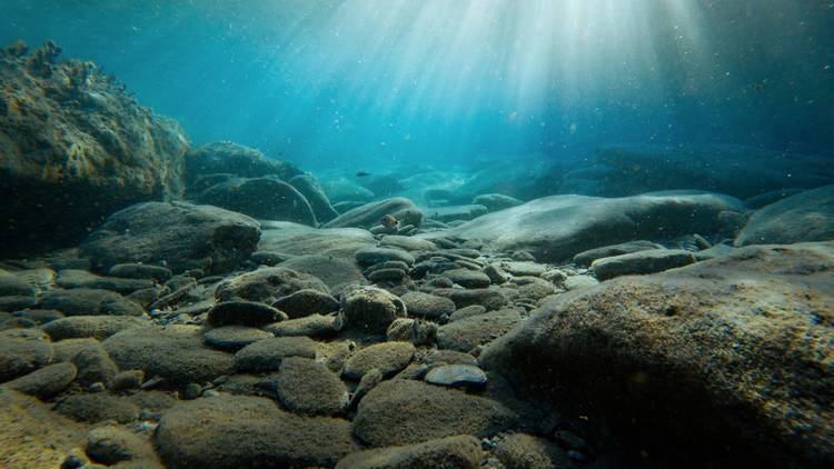 Under water ocean floor 