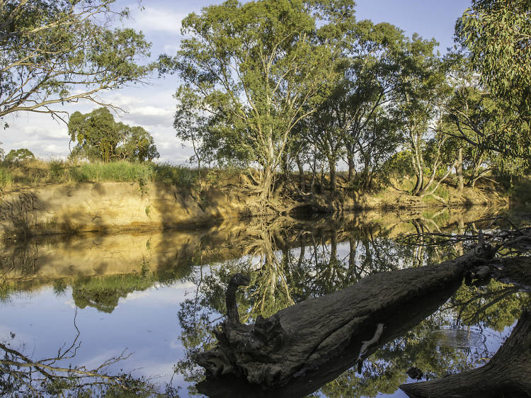 Loddon River  (Photograph: Geoff Park)