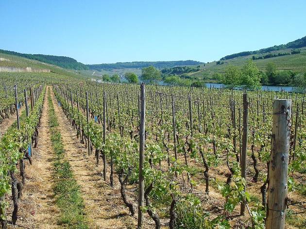 Moselle Valley Moselle Valley