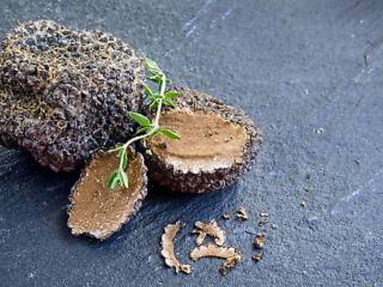 Istrian truffles