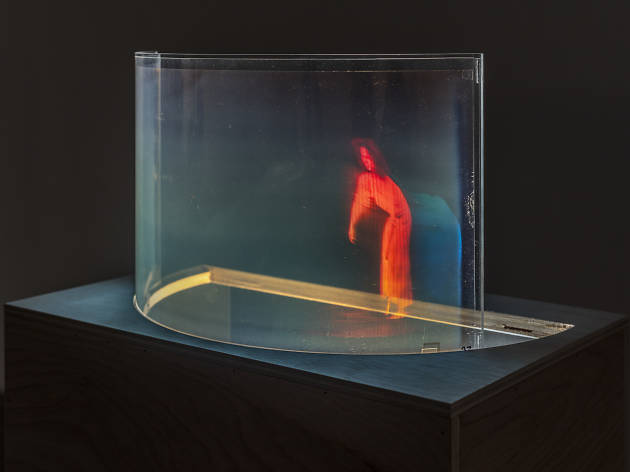 “3D: Double Vision” Simone Forti, Striding Crawling