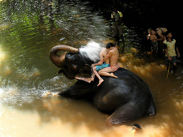 things to do in Goa, India things to do in Goa, India