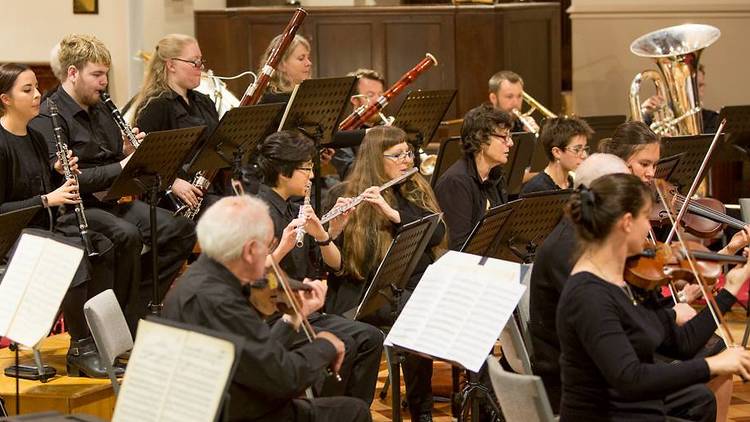 Bendigo Symphony Orchestra (Photograph: Supplied)
