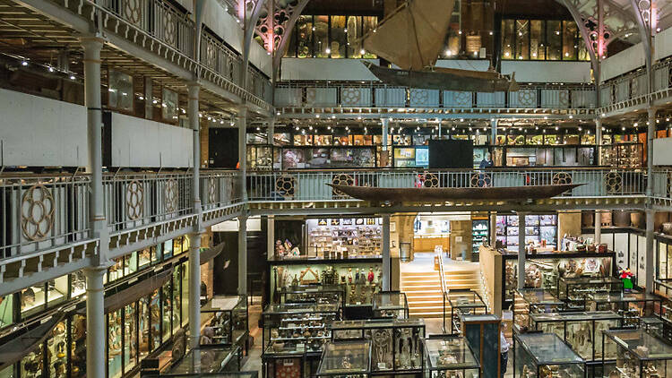 Expand your brain at Pitt Rivers Museum