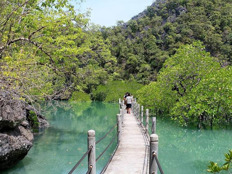 Kilim Karst Geoforest Park, Pulau Langkawi