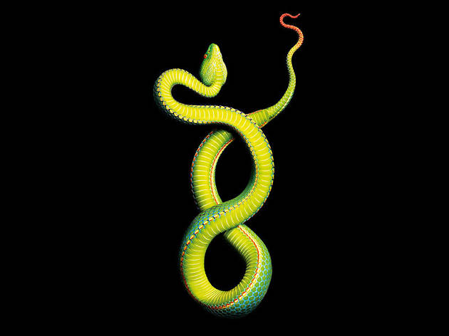 English National Opera: The Magic Flute 'The Magic Flute' at ENO