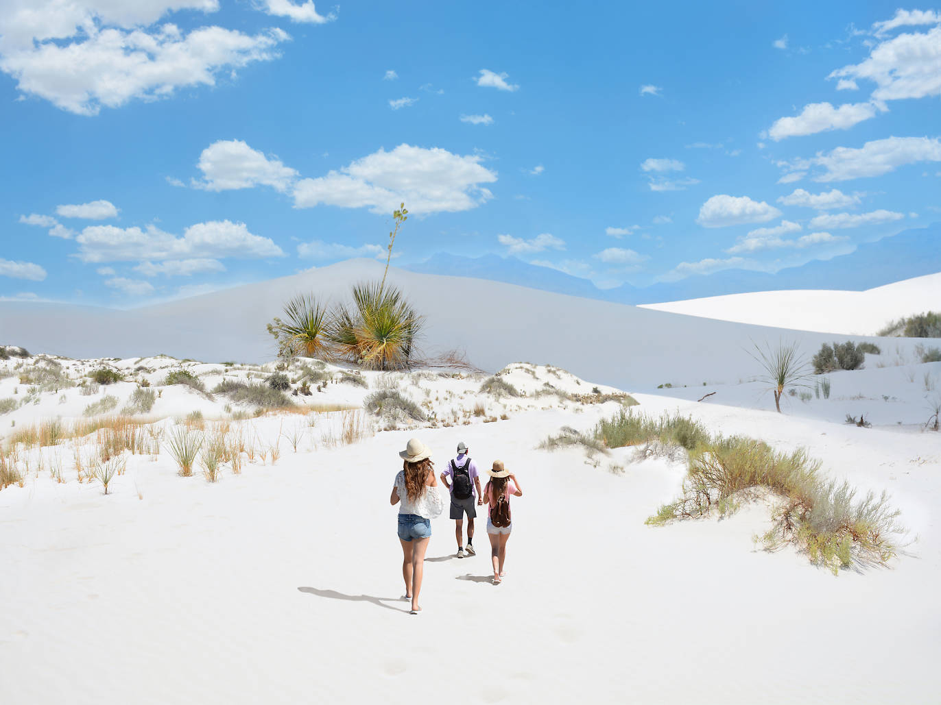 Things to do in New Mexico 11 Essential Attractions