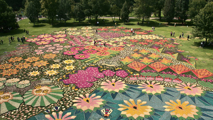 Alfombra monumental en Xochitla