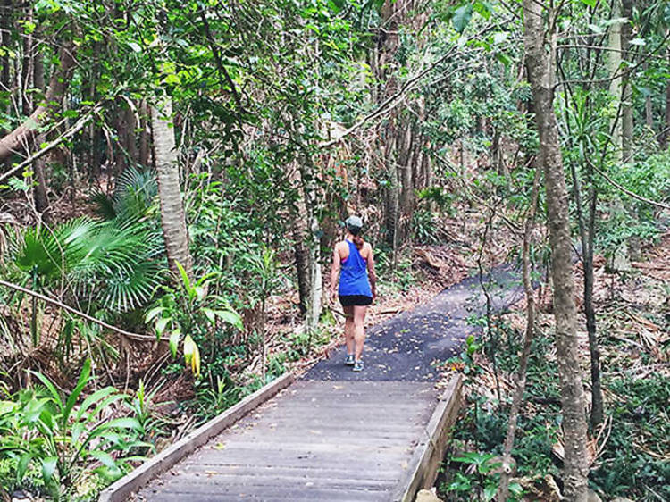 Cape Byron State Conservation Park