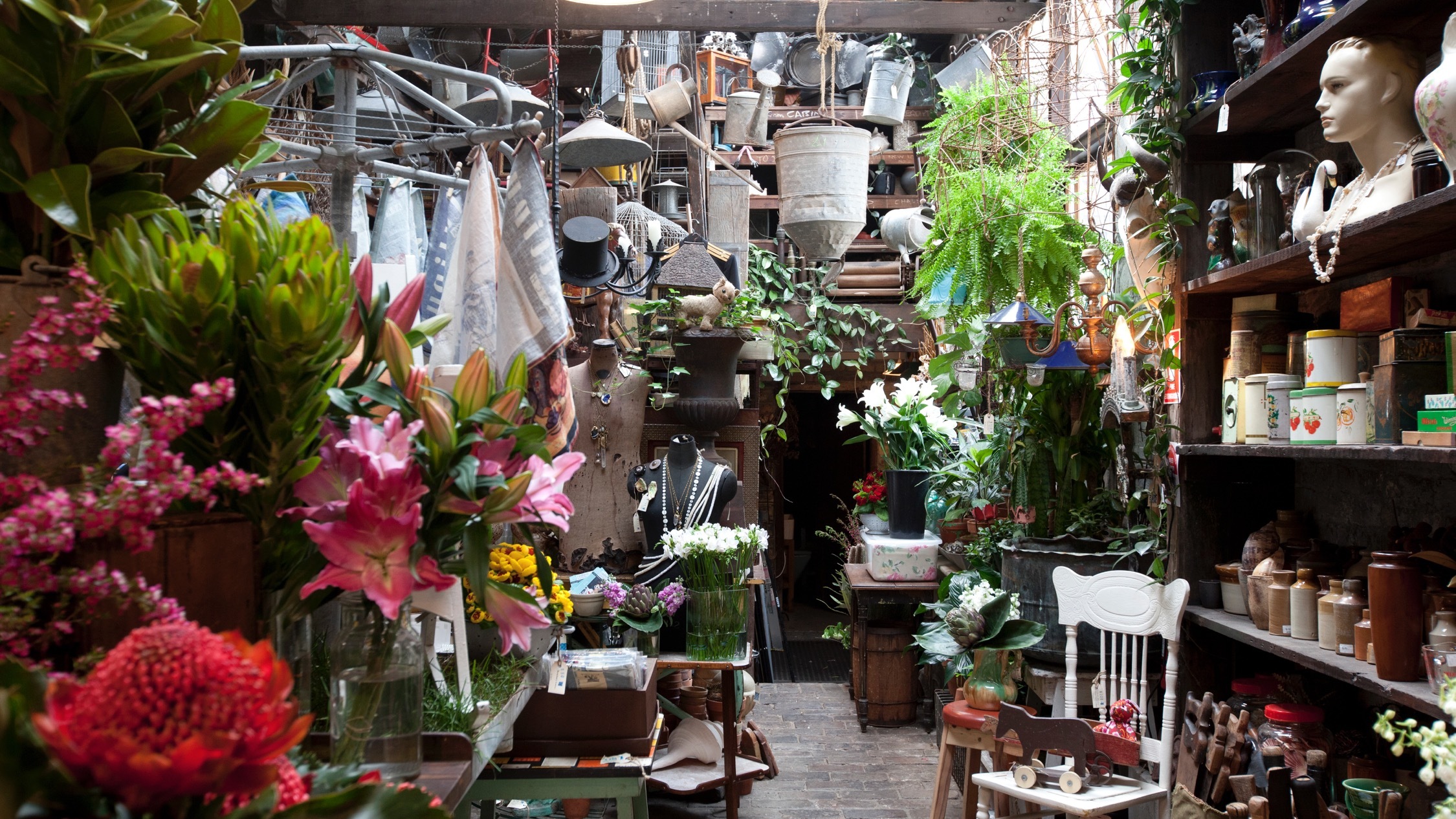 Seasonal Concepts Shopping in Redfern, Sydney