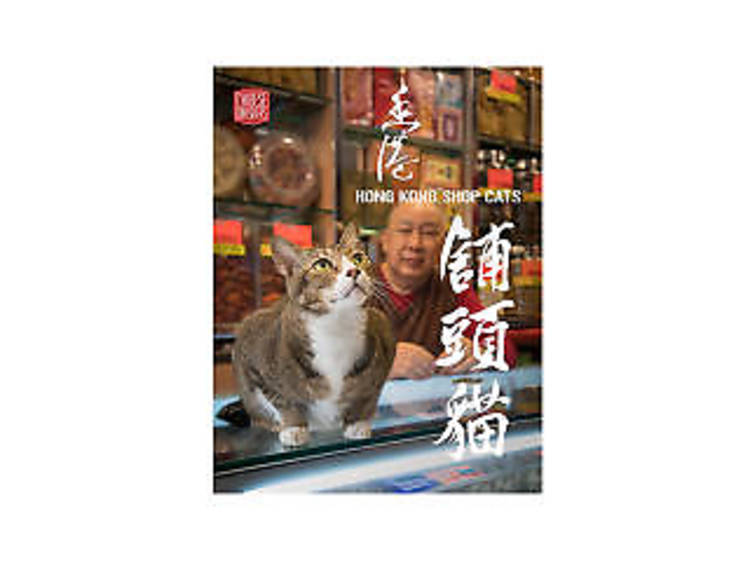 Hong Kong Shop Cats by Marcel Heijnen 