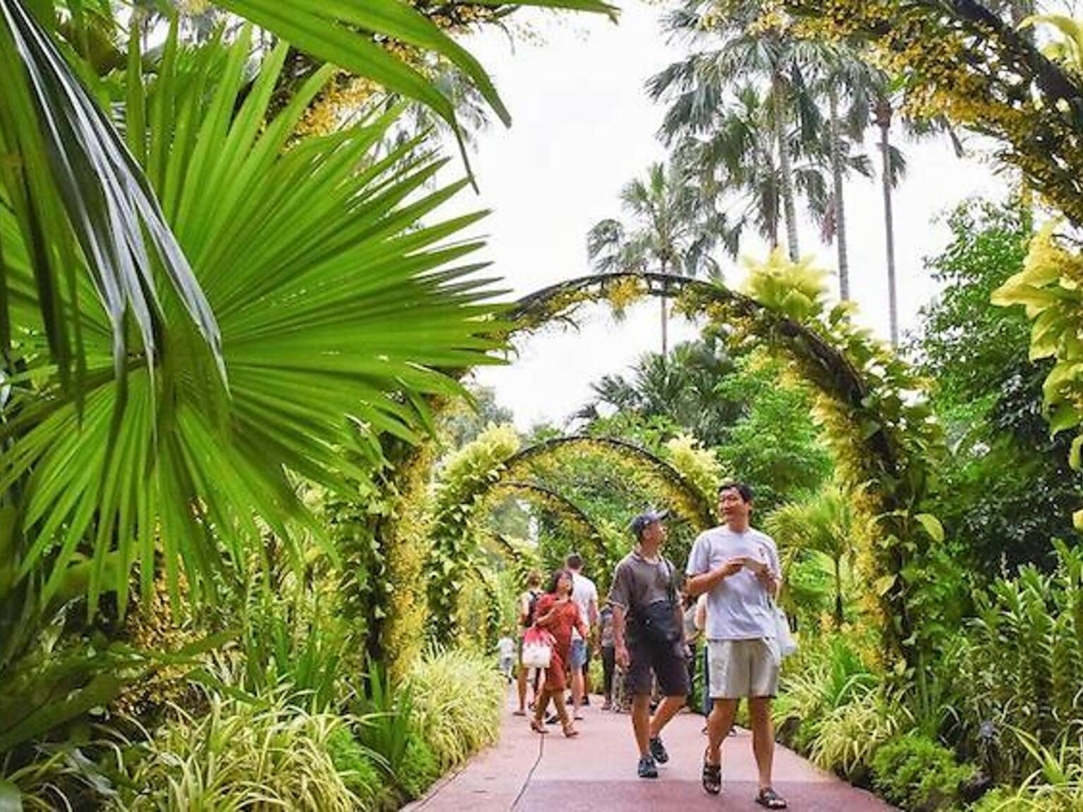 13 Fascinating Facts About Singapore That You Didn T Know 13 Fascinating Facts About Singapore That You Didn T Know