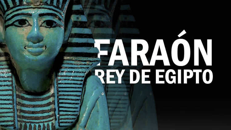 Faraón. rey de egipto