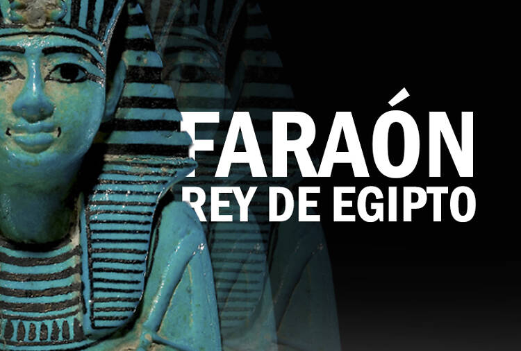 Faraón. rey de egipto