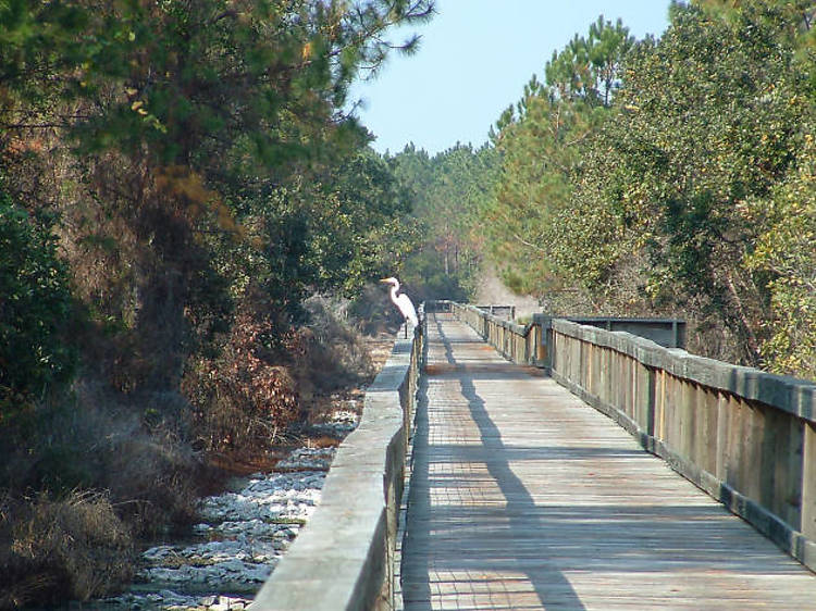 Bayou Marcus Wetlands Boardwalk