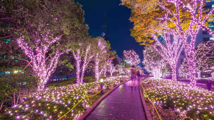 Winter lights up the city