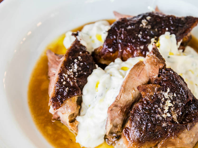 Oven-baked lamb shoulder with lemon and Greek yoghurt at the Apollo, $38