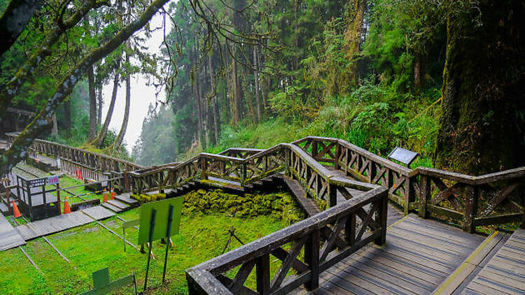 Alishan National Scenic Area