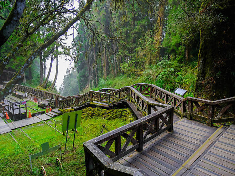 Alishan National Scenic Area