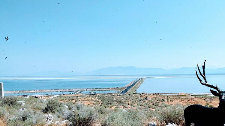 Antelope Island State Park