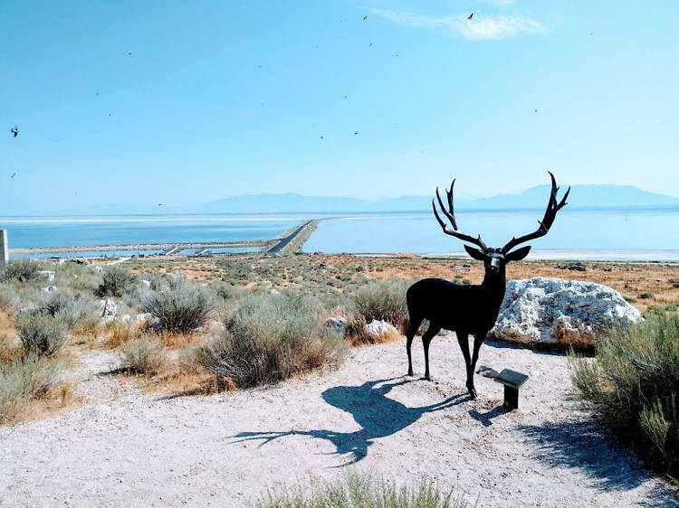 Antelope Island State Park