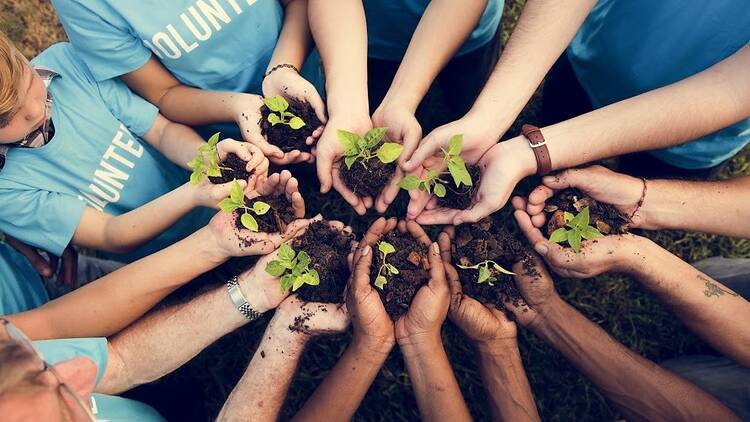 Stewardship at NYC Parks 