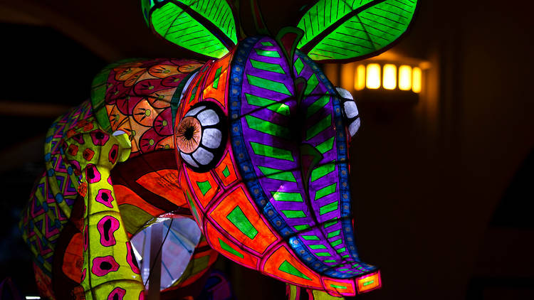 Alebrijes iluminados (Foto: Cortesía Museo de Arte Popular)