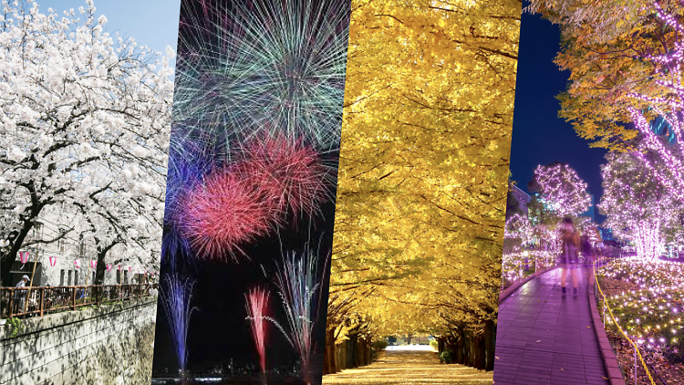 Guide to the four seasons in Tokyo