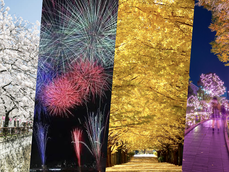 Guide to the four seasons in Tokyo