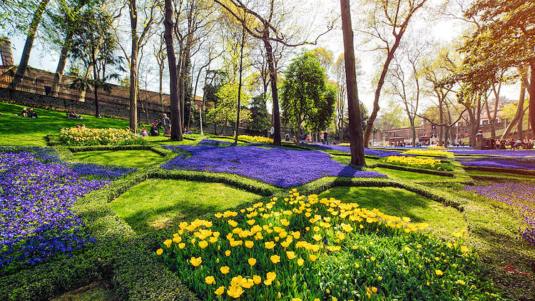 Admire the blooming tulips at Gülhane Park