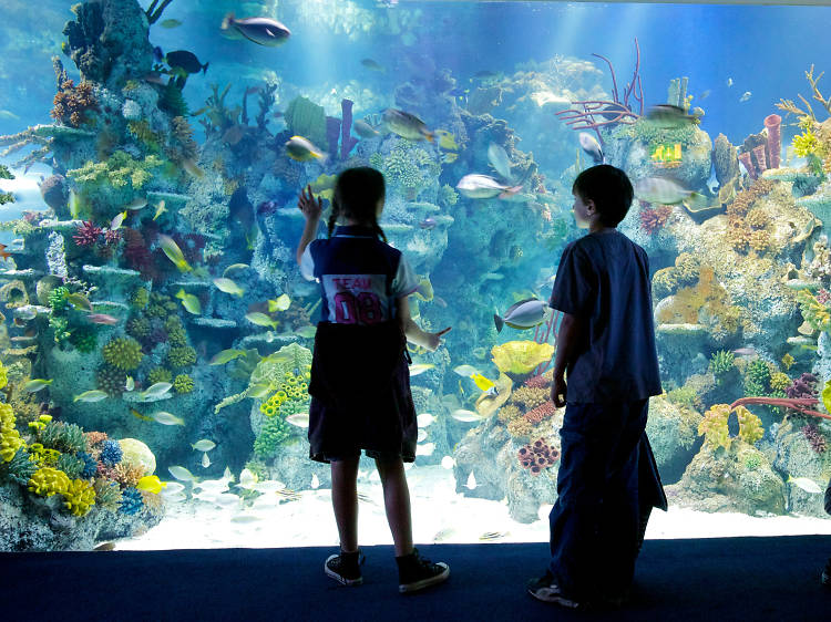 Bristol Aquarium, Bristol