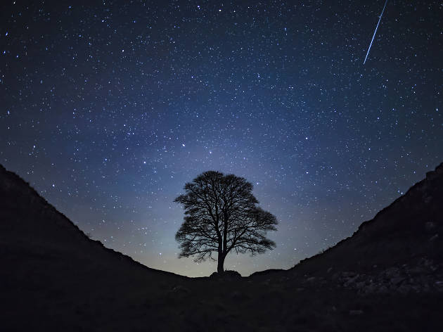 Northumberland International Dark Sky Park Northumberland International Dark Sky Park